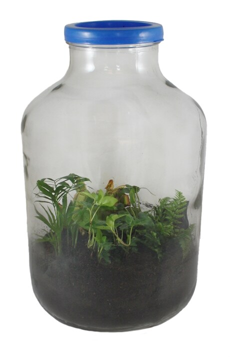 Gröna rummet - 20 liter