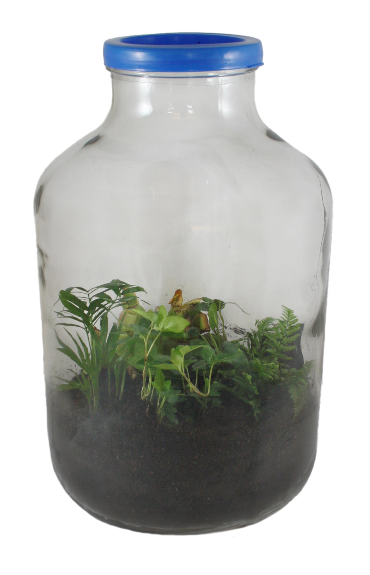 Gröna rummet - 20 liter