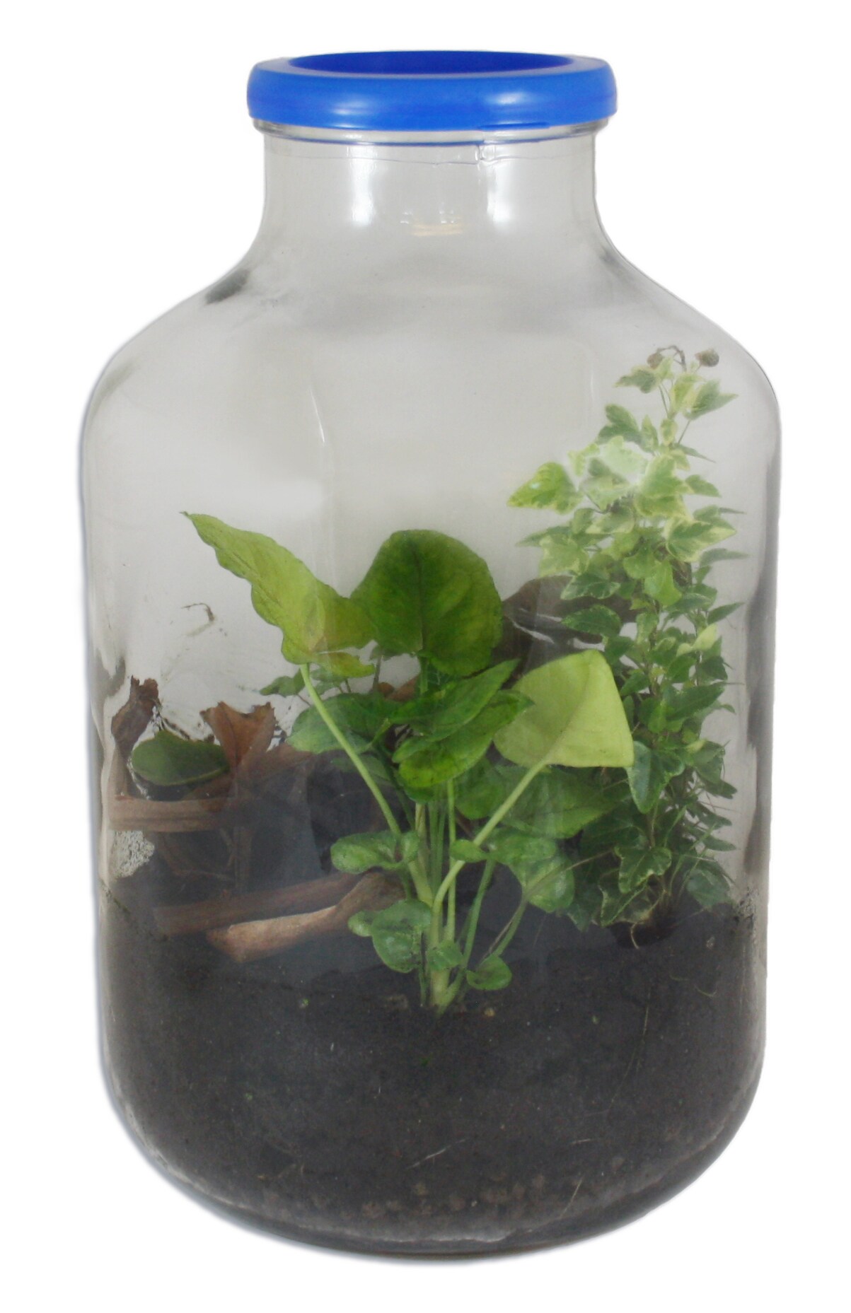 Gröna rummet - 20 liter