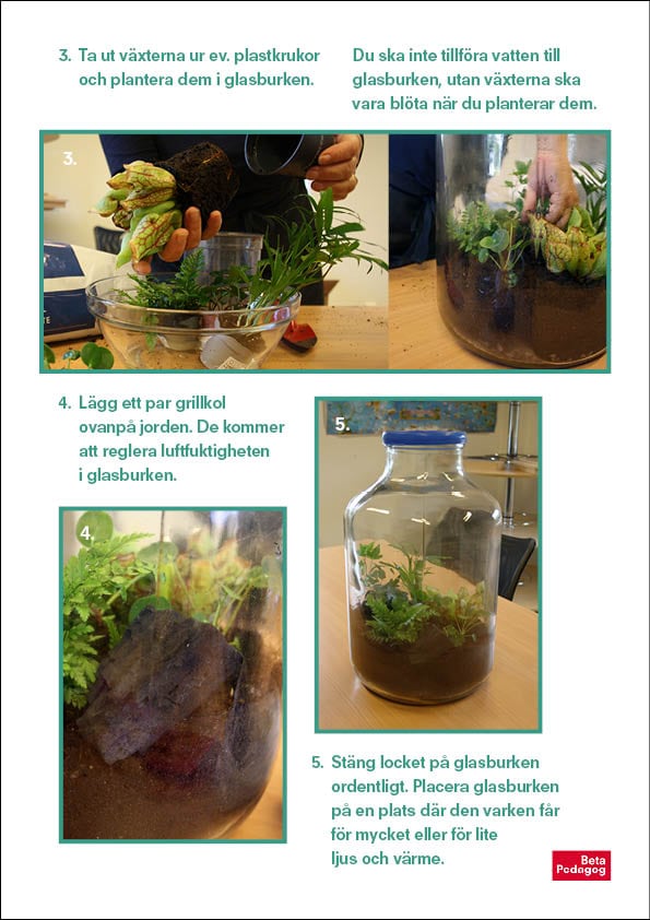 Gröna rummet - 20 liter