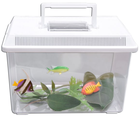 Akvarium bärbart