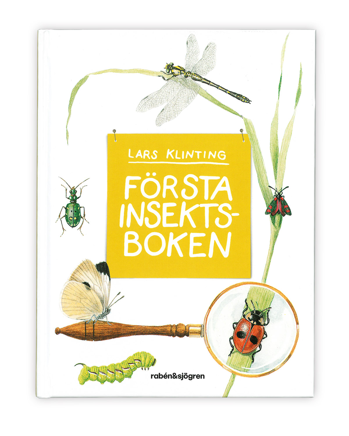 Första insektsboken