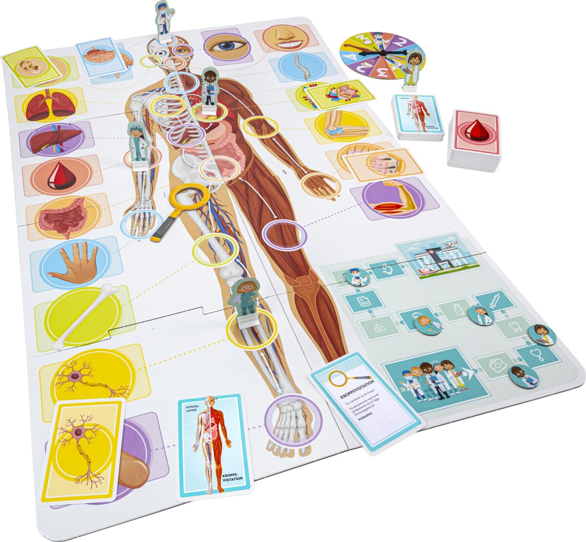 Vår fantastiska kropp