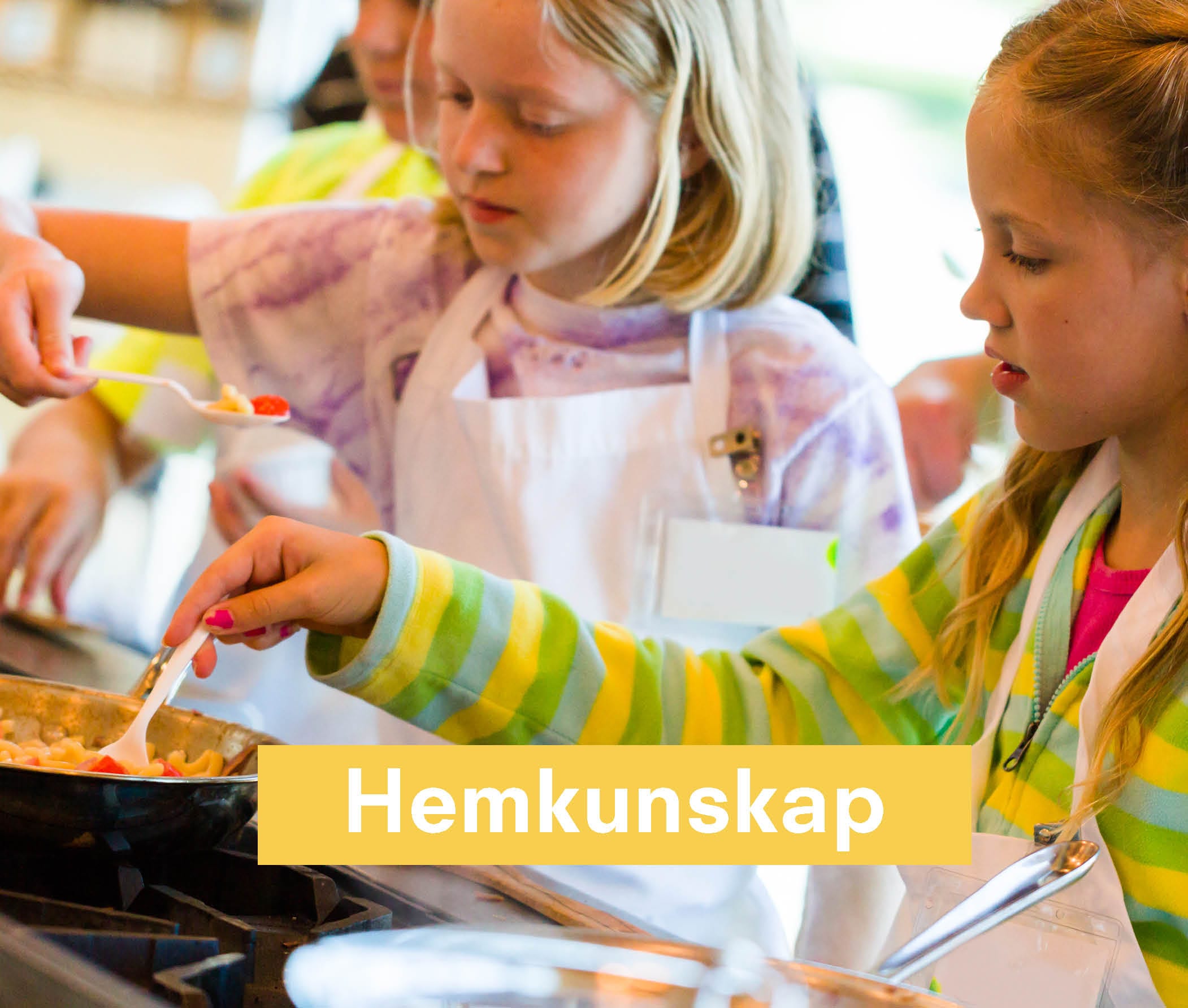Hemkunskap