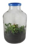 Gröna rummet - 20 liter