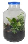 Gröna rummet - 20 liter