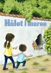 Hålet i muren