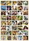 Stickers Gulliga djur